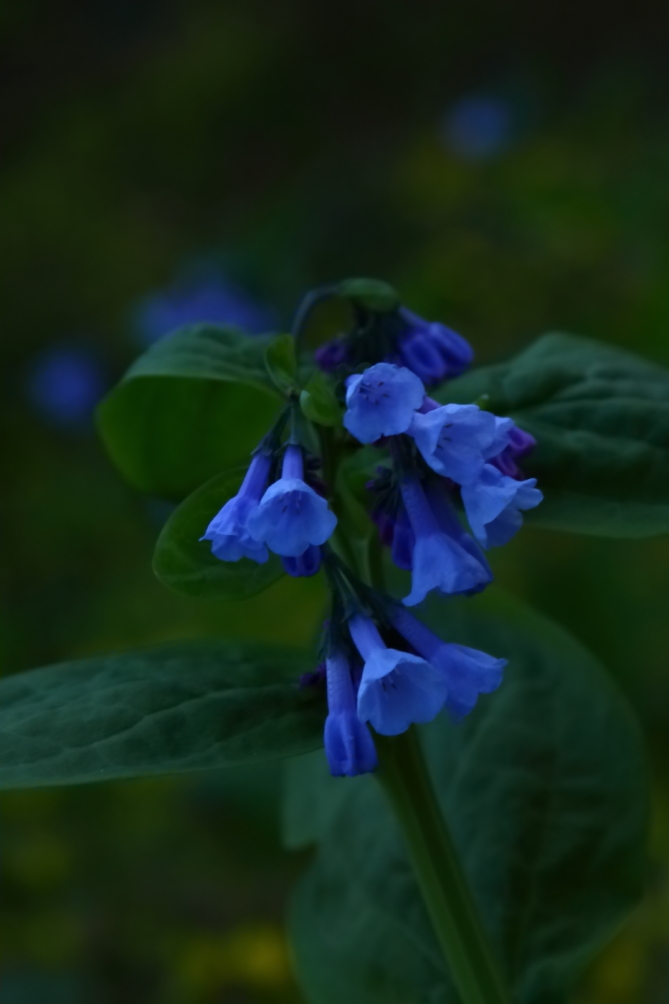 2012 04 13 9999 211